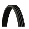 JERMEN MIKRO 4PK1775  GOODYEAR  TOYOTA